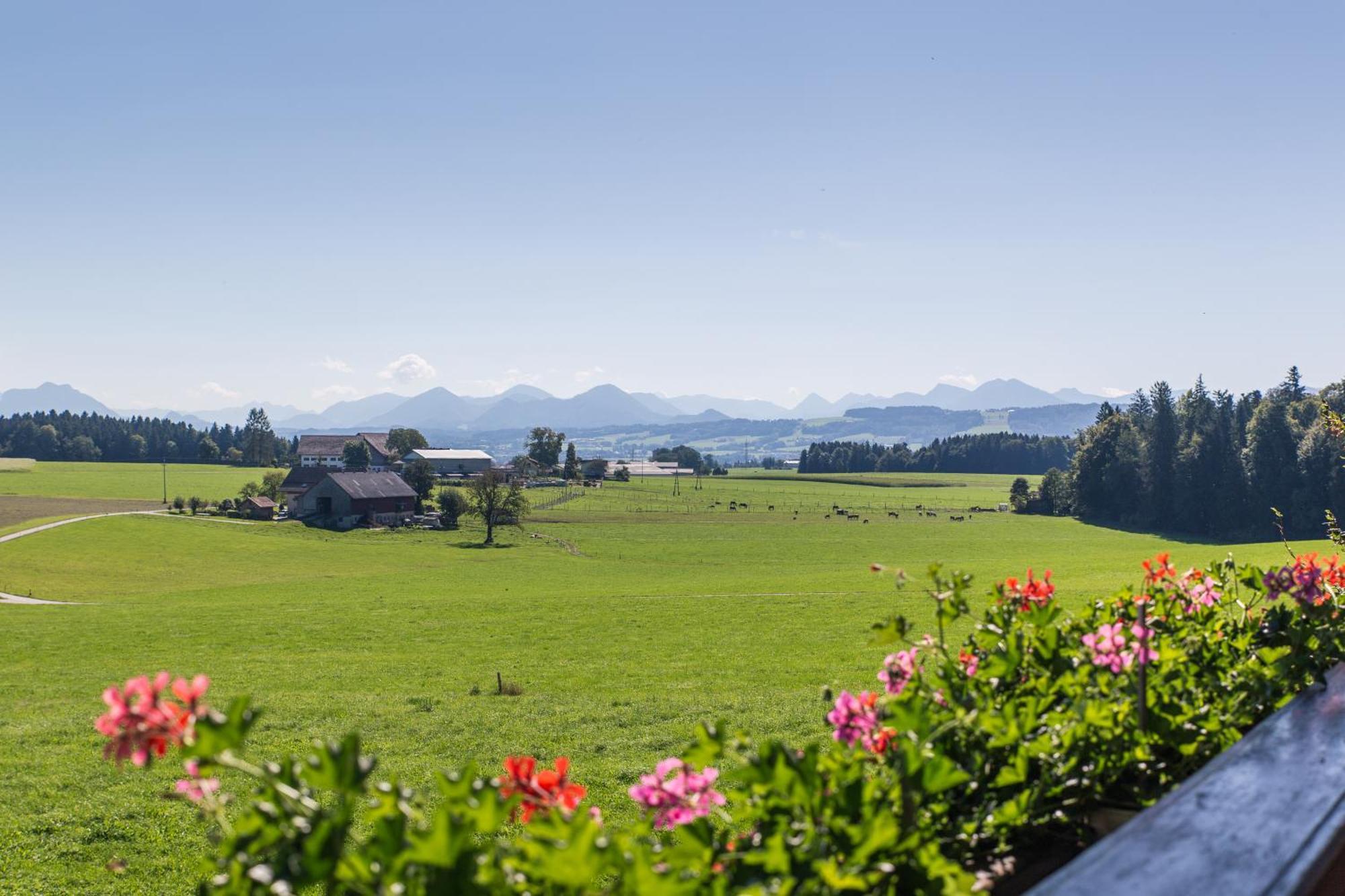 Villa Bauernhofferien Oberdürnberg Seekirchen am Wallersee Habitación foto
